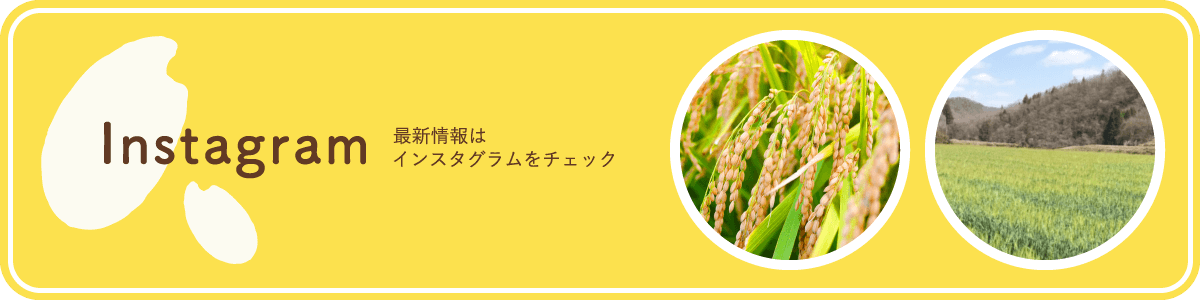 インスタグラム 最新情報はインスタグラムをチェック